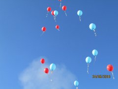 20160524_22.jpg 20160524_22.jpg