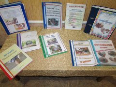 20190927_05.jpg 20190927_05.jpg