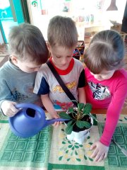 20180217_01.jpg 20180217_01.jpg