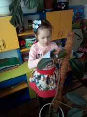 20180217_03.jpg 20180217_03.jpg