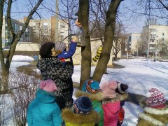 20180217_12.jpg 20180217_12.jpg