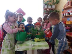 20180217_13.jpg 20180217_13.jpg