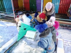 20180217_17.jpg 20180217_17.jpg