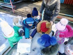 20180217_18.jpg 20180217_18.jpg