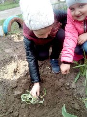 20180423_06.jpg 20180423_06.jpg