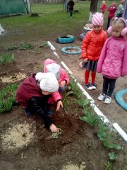 20180423_07.jpg 20180423_07.jpg