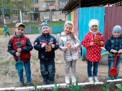 20180423_08.jpg 20180423_08.jpg