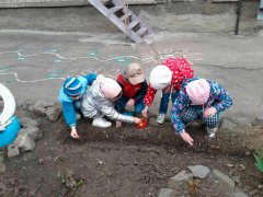 20180423_10.jpg 20180423_10.jpg