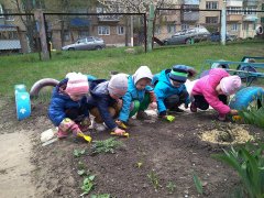 20180423_11.jpg 20180423_11.jpg