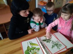 20180423_13.jpg 20180423_13.jpg