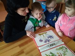 20180423_14.jpg 20180423_14.jpg