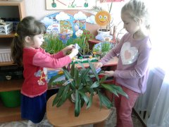 20190218_04.jpg 20190218_04.jpg