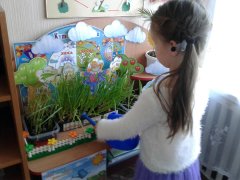 20190218_06.jpg 20190218_06.jpg