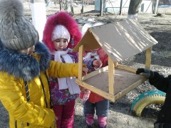 20190218_10.jpg 20190218_10.jpg