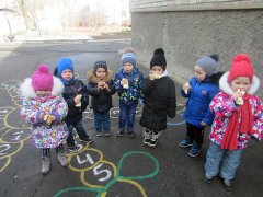 20190306_17.jpg 20190306_17.jpg