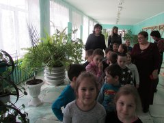 20190325_01.jpg 20190325_01.jpg